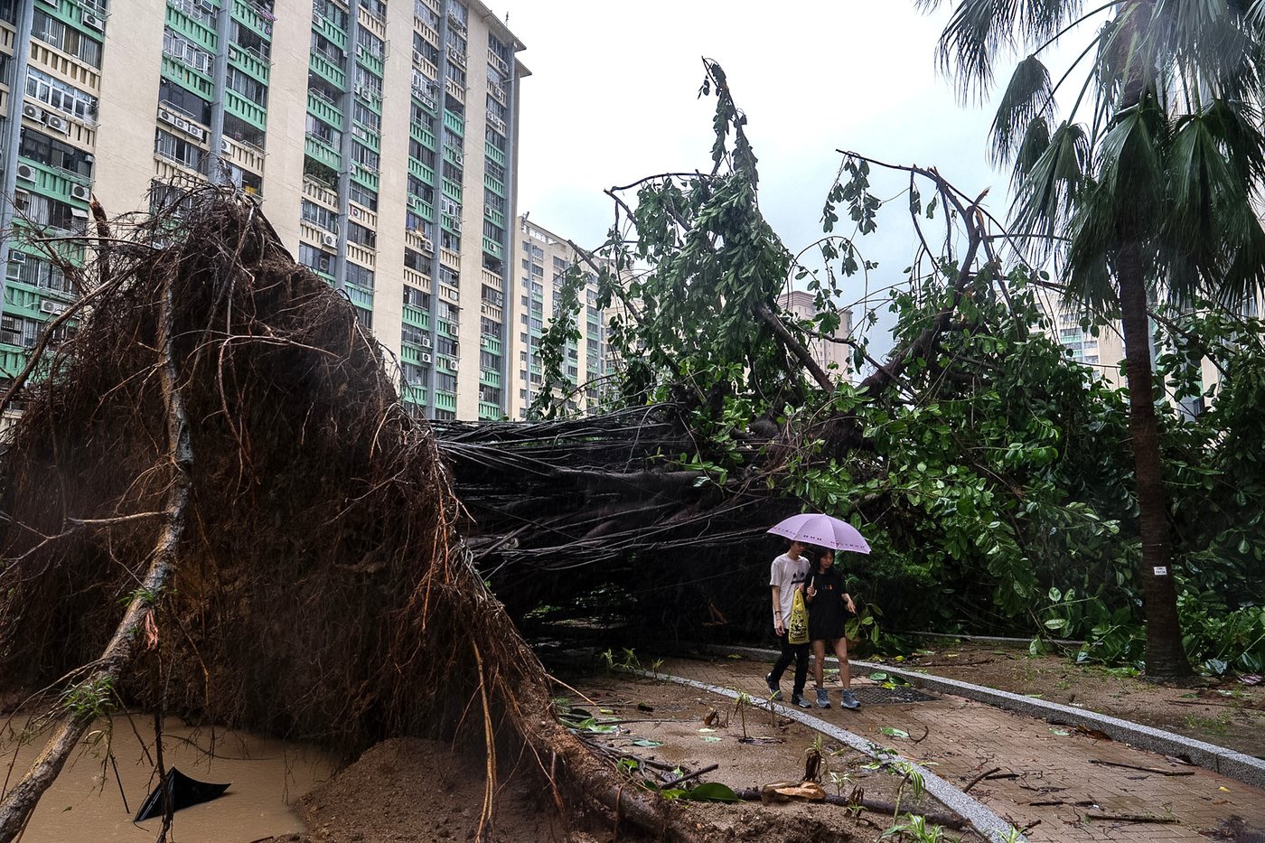 Typhoon Ragasa batters Hong Kong and south China after killing dozens in Taiwan and the Philippines | iNFOnews.ca