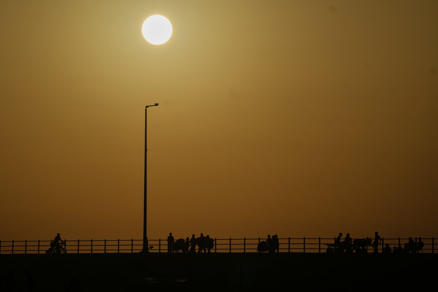 Trump orders Israel to stop bombing Gaza after Hamas partially accepts his peace plan | iNFOnews.ca