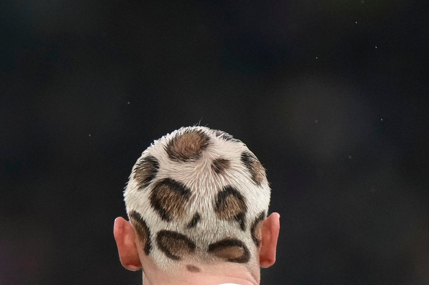 The top photos of the day by AP's photojournalists | iNFOnews.ca