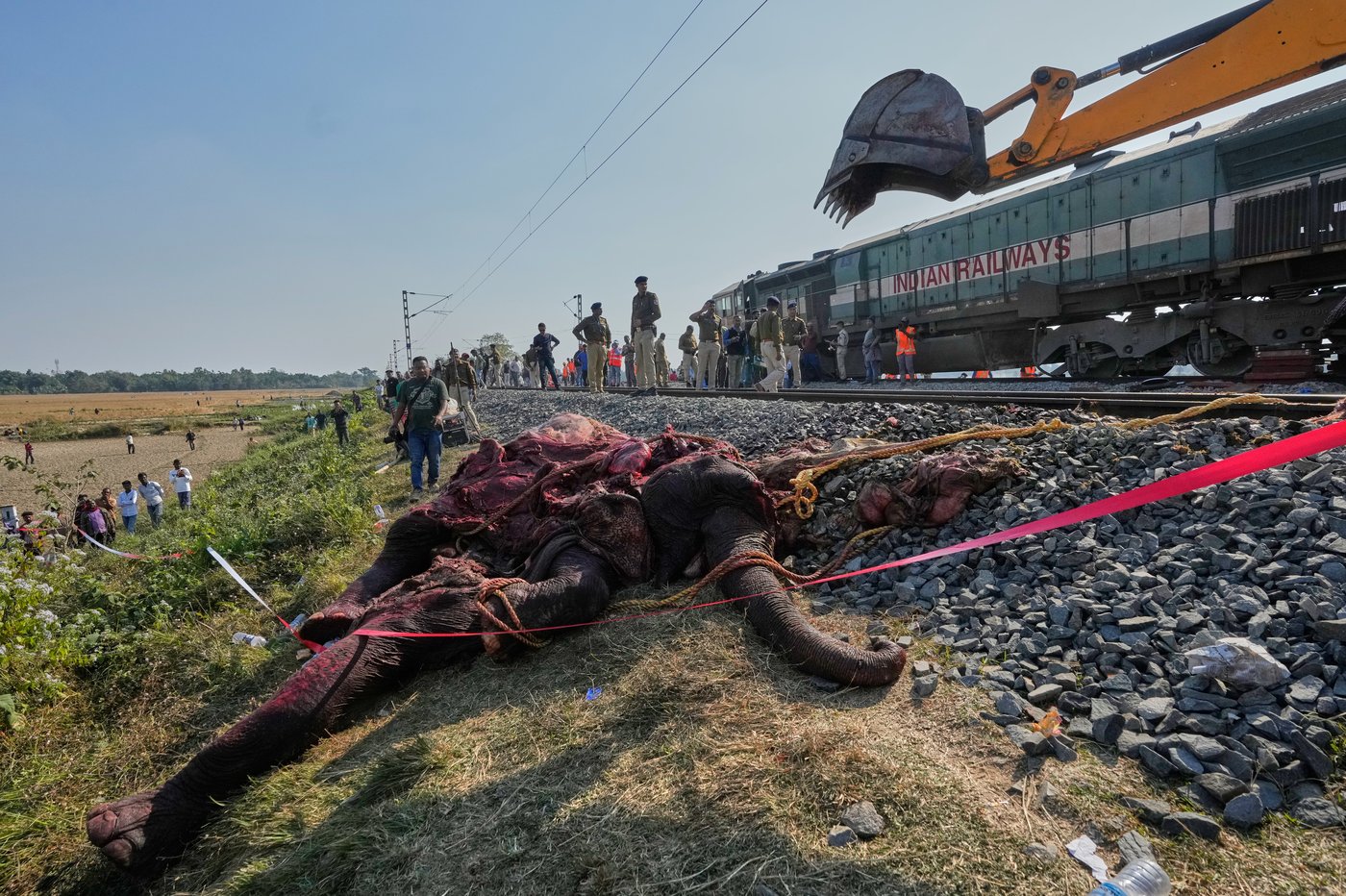 High-speed passenger train kills 7 elephants crossing railway tracks in northeast India | iNFOnews.ca High-speed passenger train kills 7 elephants crossing railway tracks in northeast India | iNFOnews.ca