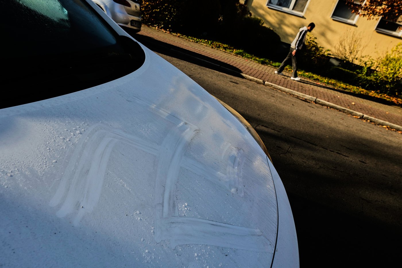 Dozens of swastikas painted in human blood daubed on property across German city | iNFOnews.ca Dozens of swastikas painted in human blood daubed on property across German city | iNFOnews.ca