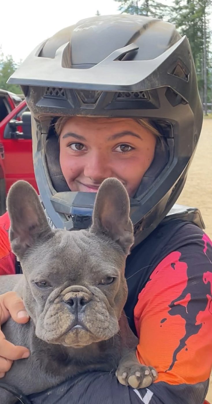 Australia culls dingoes linked to attack on Canadian Piper James, found dead on beach | iNFOnews.ca