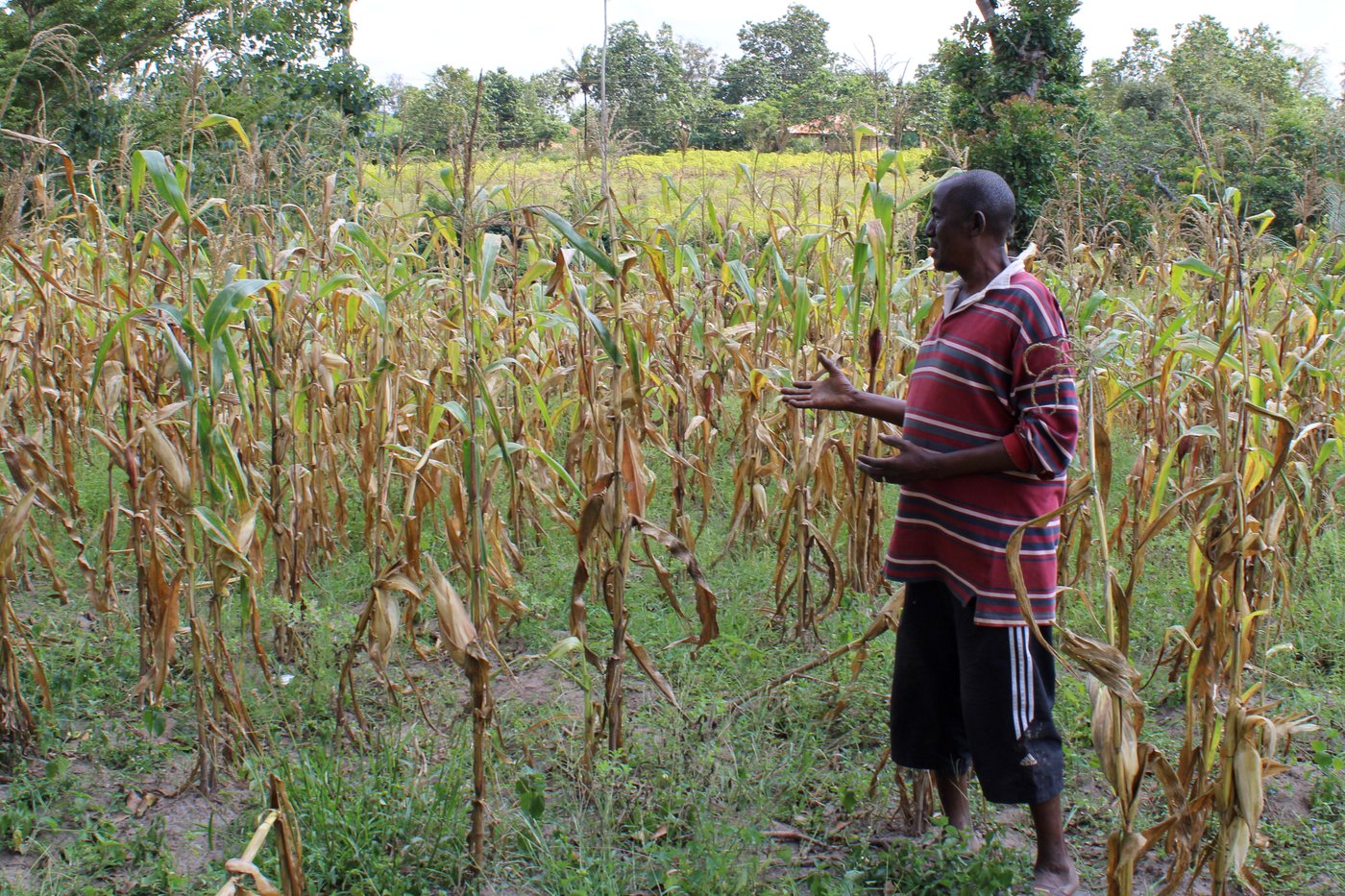 In Kenya, a search for links between a changing climate and mental health | iNFOnews.ca In Kenya, a search for links between a changing climate and mental health | iNFOnews.ca