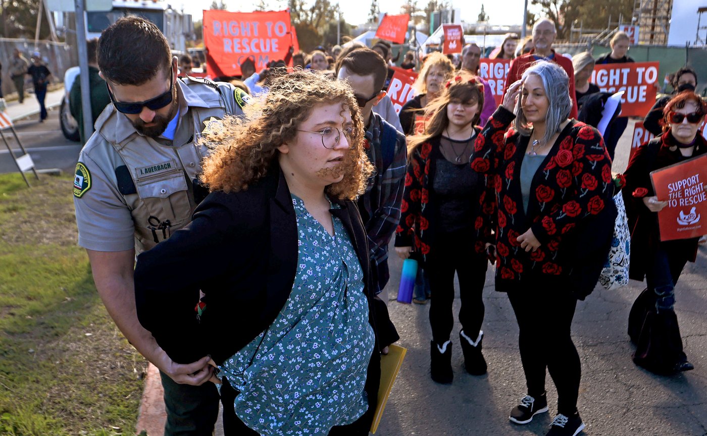 Trial of a California woman who stole chickens puts slaughter houses in national spotlight | iNFOnews.ca Trial of a California woman who stole chickens puts slaughter houses in national spotlight | iNFOnews.ca