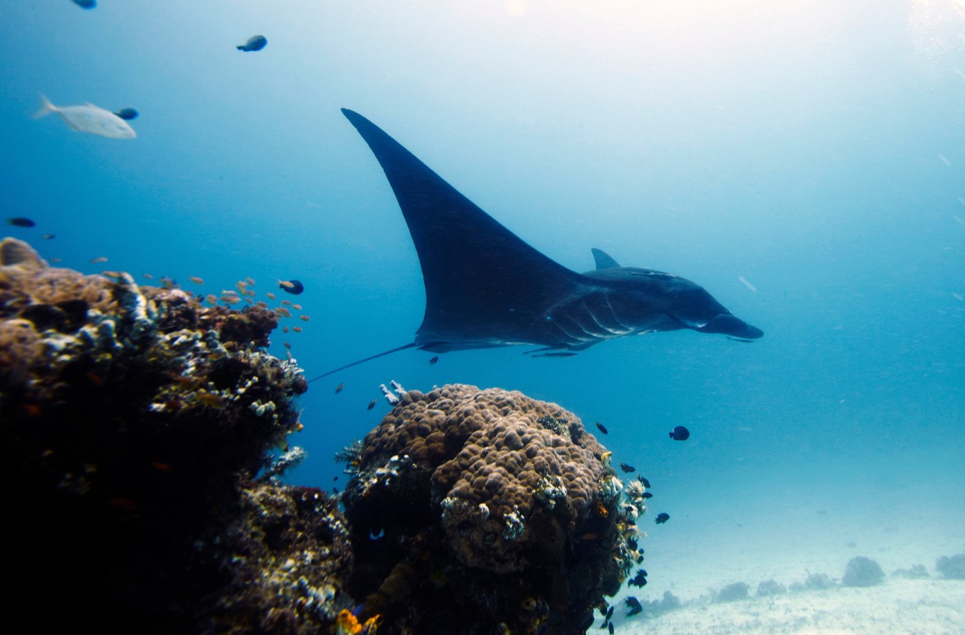 UNESCO designates 26 new biosphere reserves amid biodiversity challenges and climate change | iNFOnews.ca