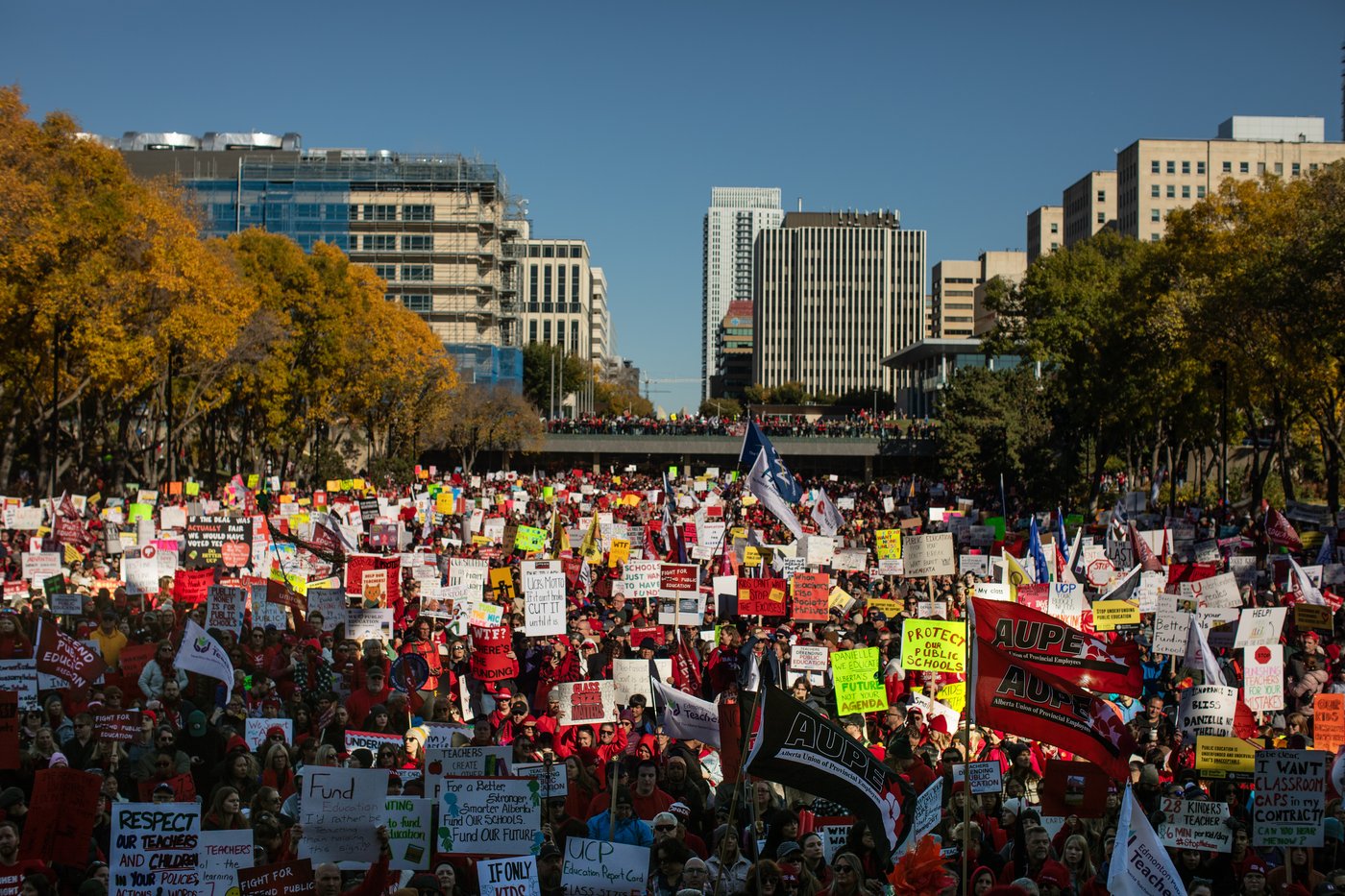 Red shirts and red-rimmed eyes: 740,000 Alberta students back to classes post-strike | iNFOnews.ca Red shirts and red-rimmed eyes: 740,000 Alberta students back to classes post-strike | iNFOnews.ca