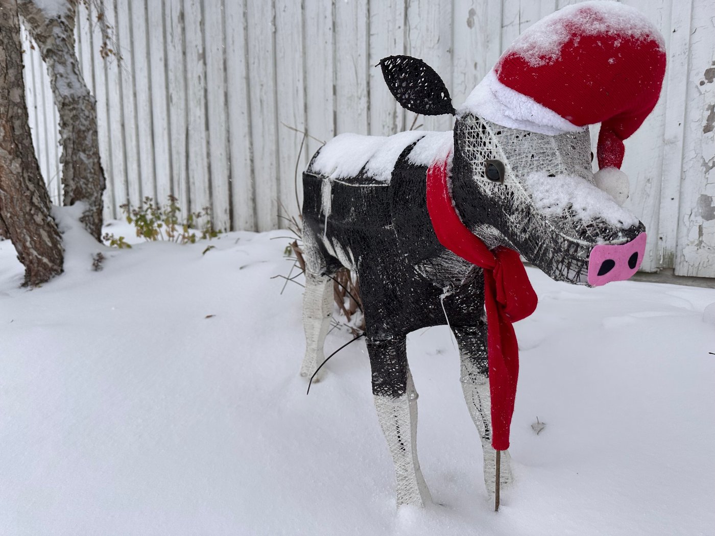 Crews restoring power in Wisconsin while Iowa airport tries to reopen after plane left icy runway | iNFOnews.ca