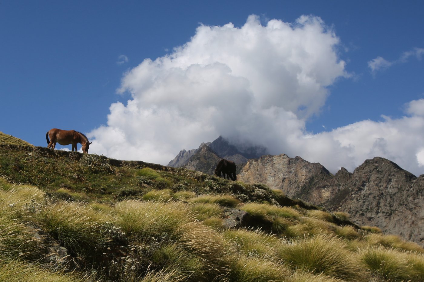 Photos show life slowly returning to abandoned Himalayan villages in India | iNFOnews.ca