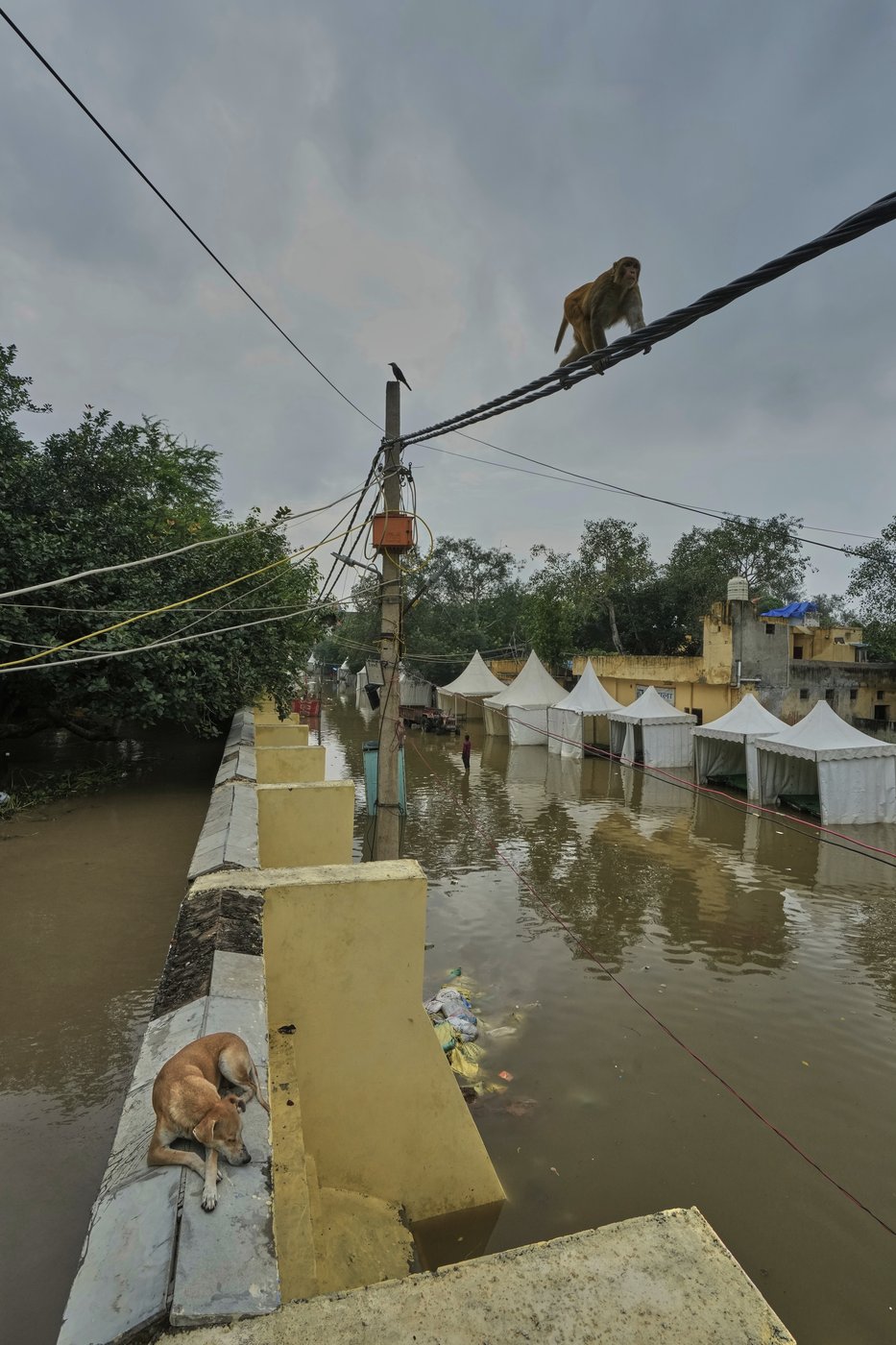 See the world in vertical: Top photos by AP's photojournalists | iNFOnews.ca