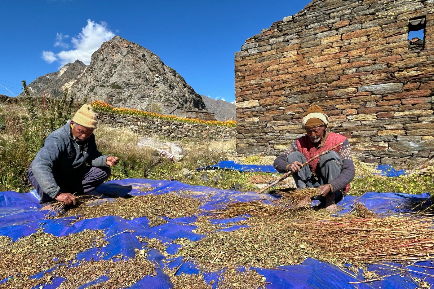 Photos show life slowly returning to abandoned Himalayan villages in India | iNFOnews.ca