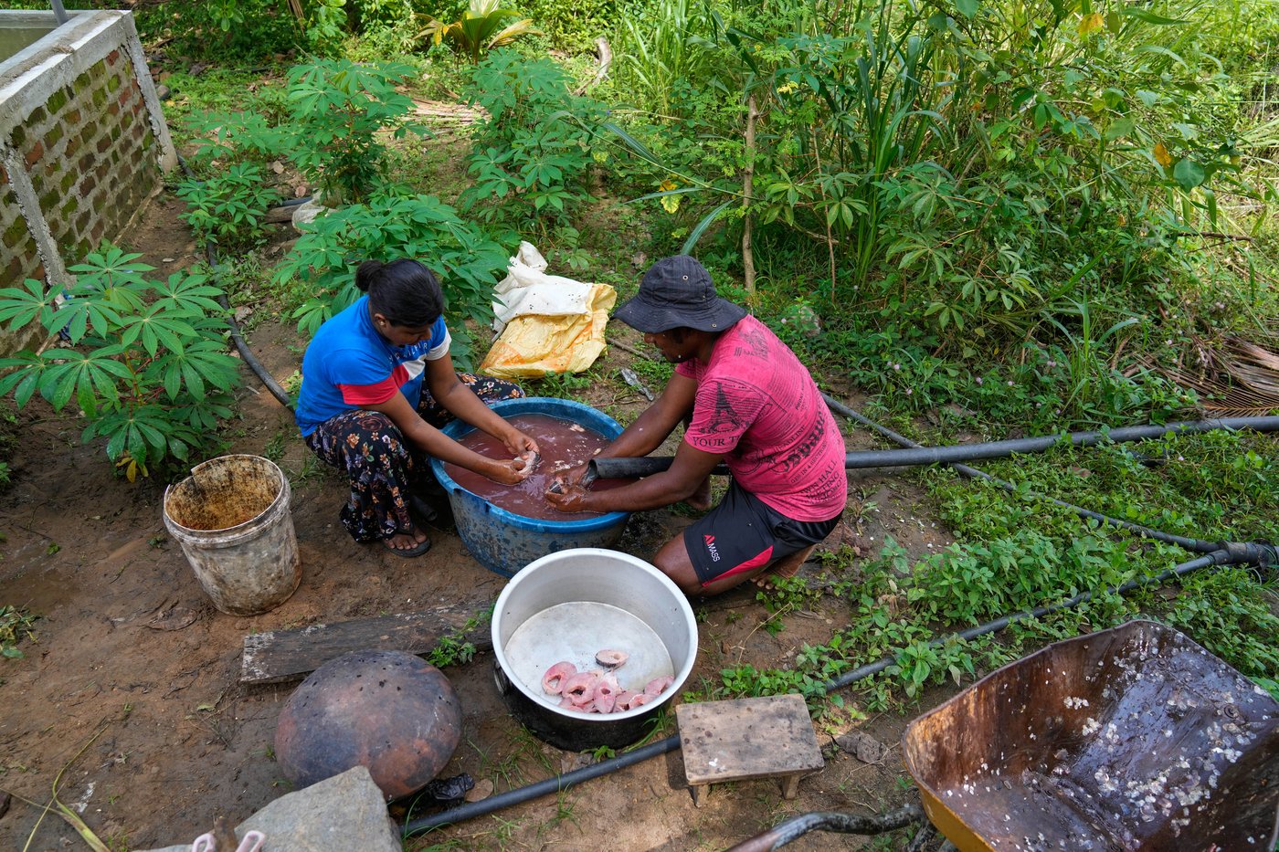 Sri Lankan freshwater fishers keen to turn invasive species threat into an opportunity | iNFOnews.ca