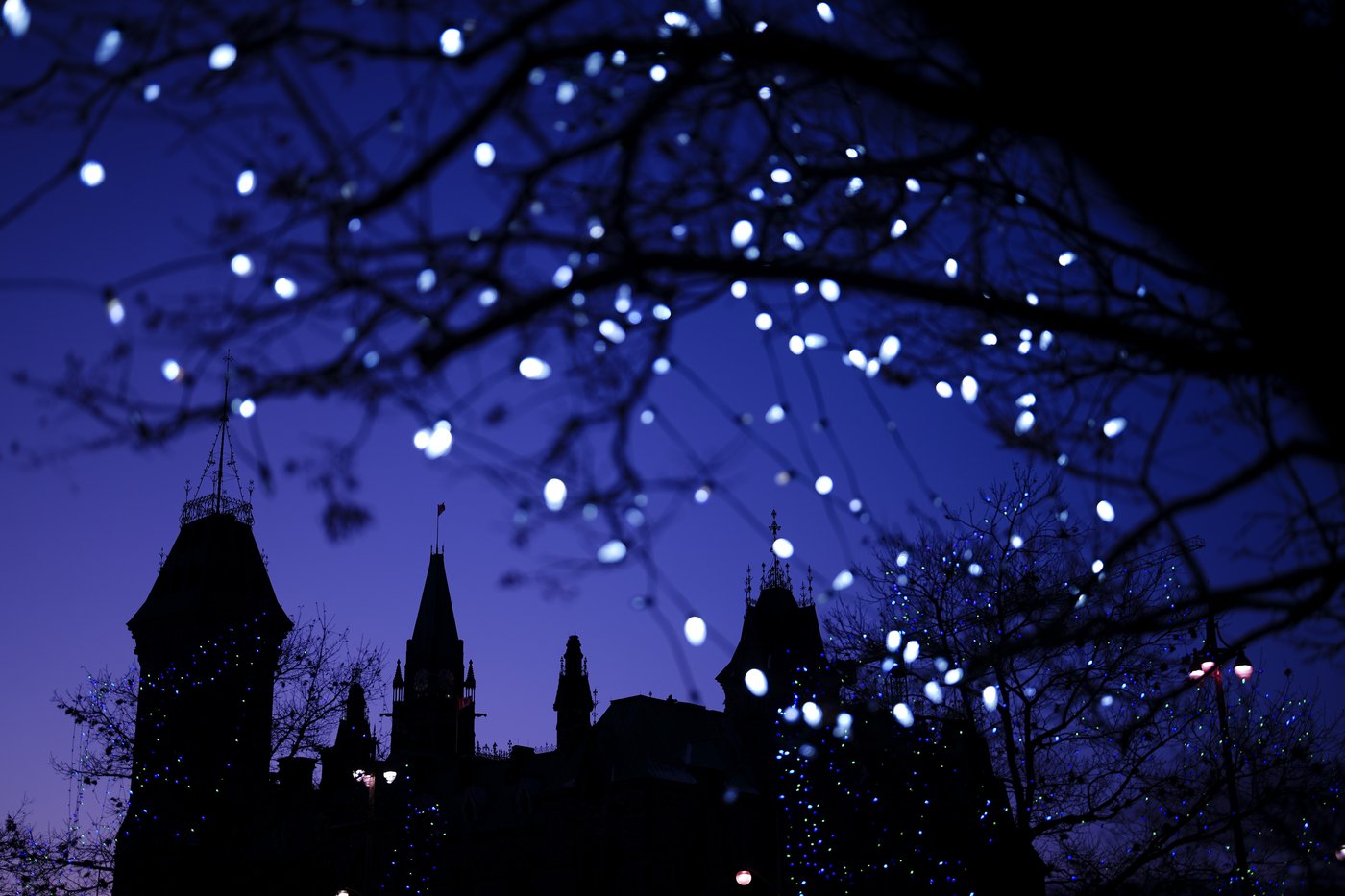 'After all, they're family': Poll finds holiday gatherings still important for most | iNFOnews.ca