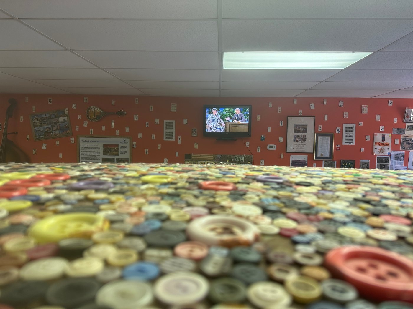 The Button King's legacy lives on in quirky South Carolina museum | iNFOnews.ca