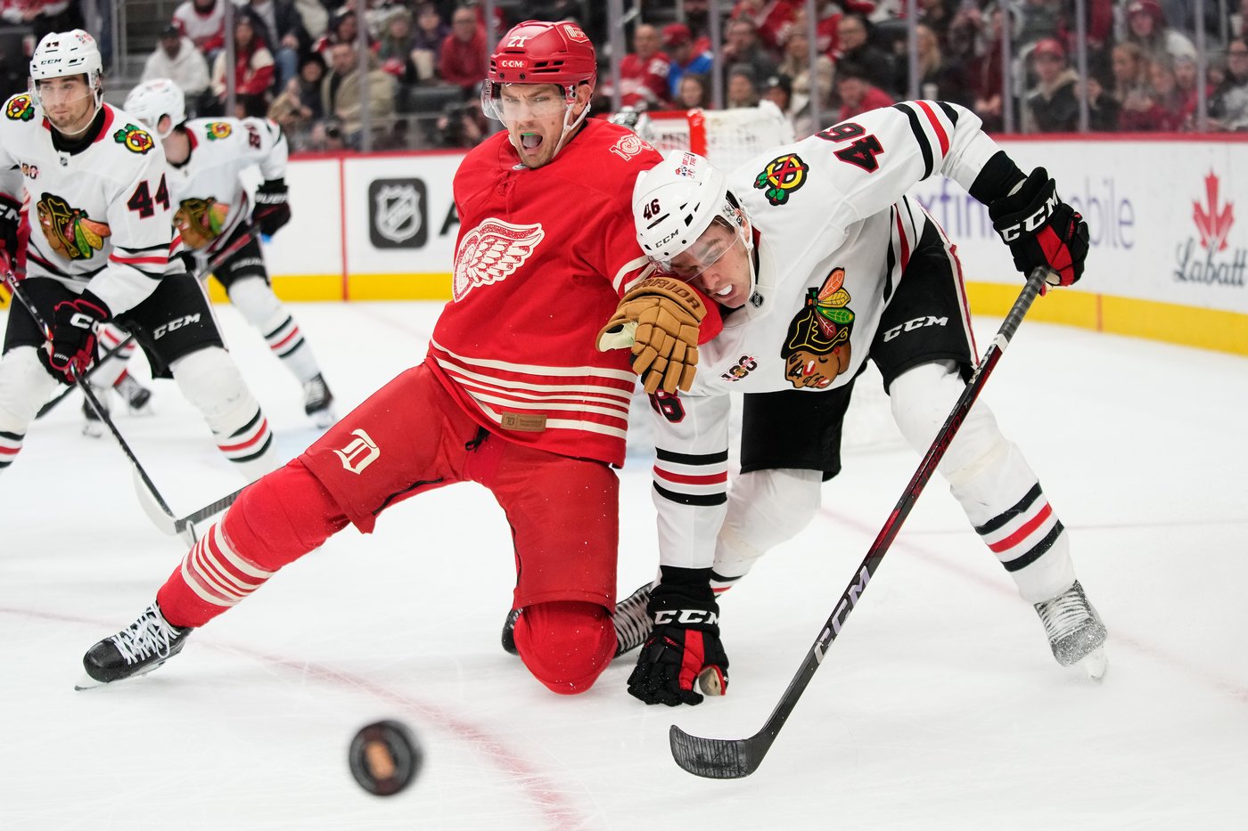Connor Bedard scores, gets 2 assists to lead Blackhawks over Red Wings 5-1 | iNFOnews.ca
