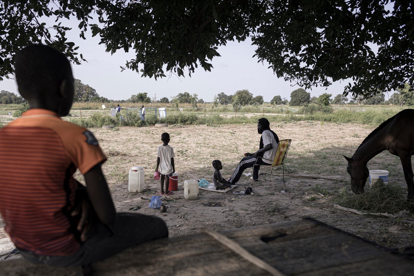 In Senegal, climate change is adding to historic tension between farmers and herders | iNFOnews.ca