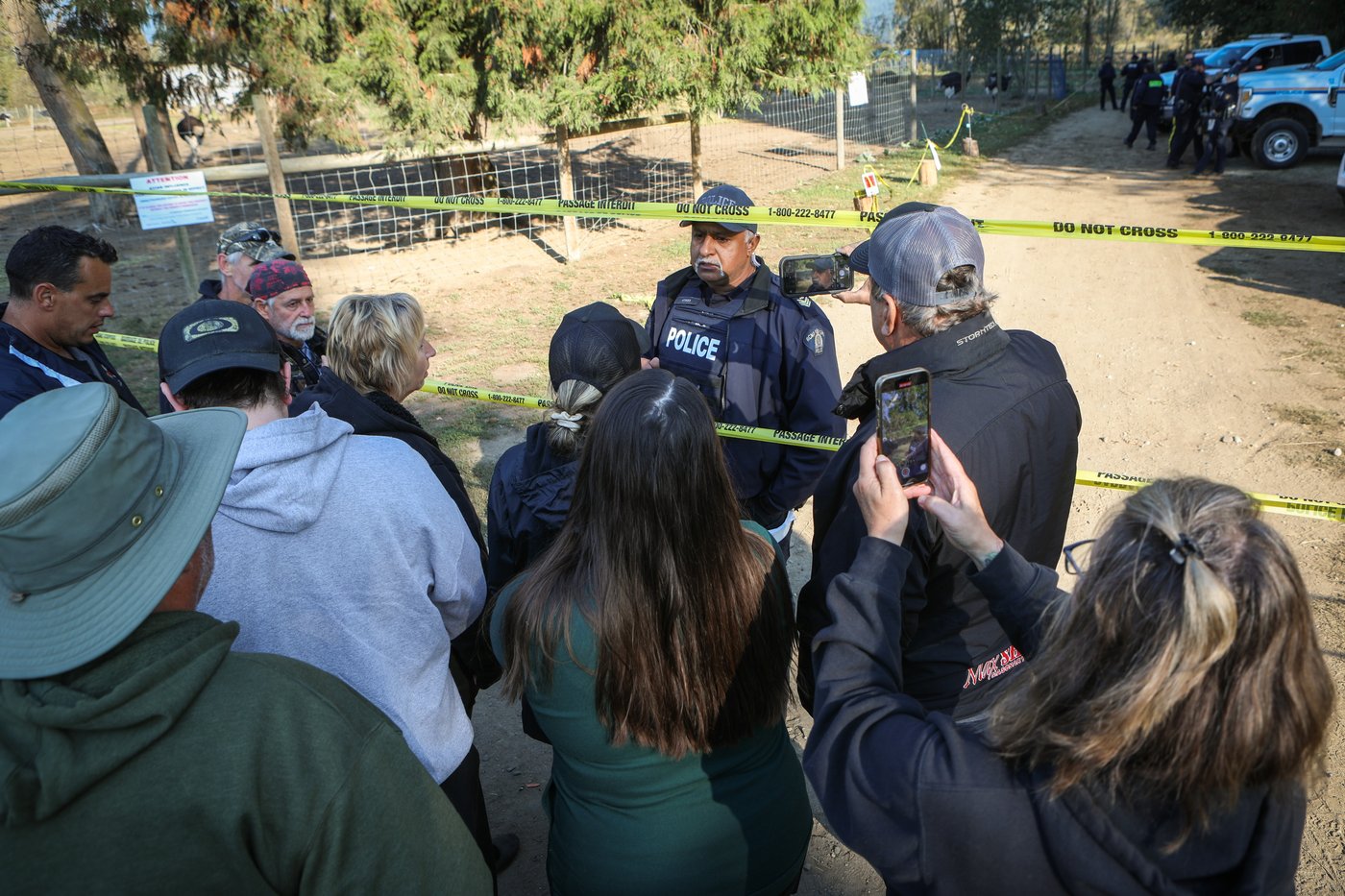 Photo Gallery: Ostrich farm granted stay on cull | iNFOnews.ca