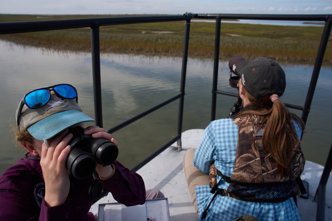 Along the Texas Coast, a new sanctuary aims to protect the endangered and rare whooping crane | iNFOnews.ca