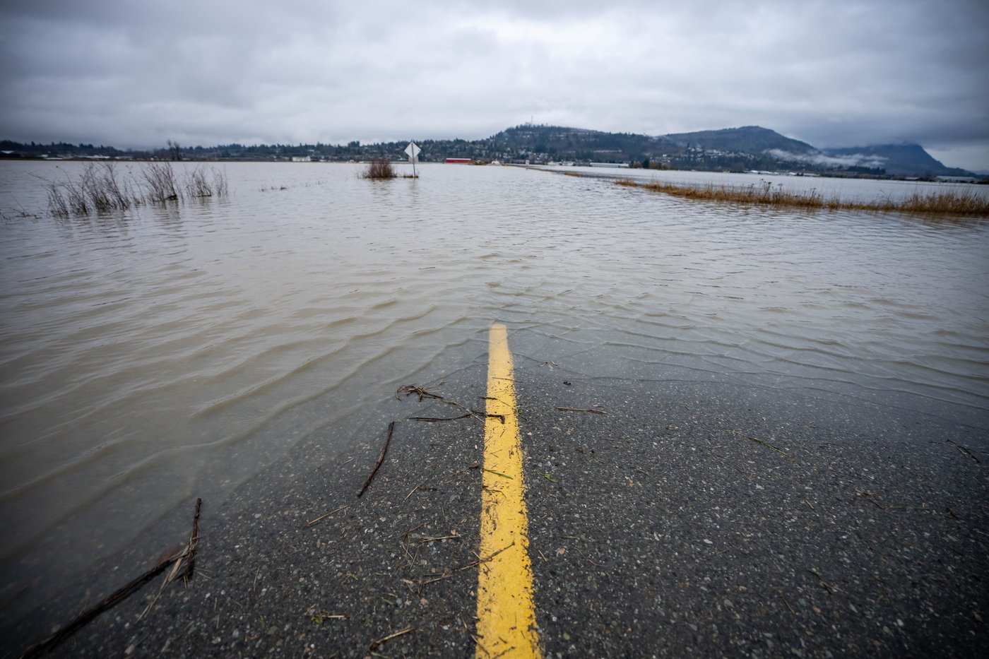 Fraser Valley flood cleanup begins, as latest blast of rain swells B.C. rivers | iNFOnews.ca Fraser Valley flood cleanup begins, as latest blast of rain swells B.C. rivers | iNFOnews.ca
