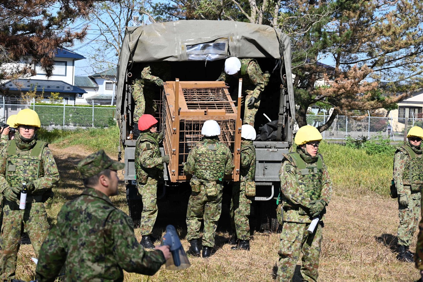 Japan deploys the military to counter a surge in bear attacks | iNFOnews.ca Japan deploys the military to counter a surge in bear attacks | iNFOnews.ca