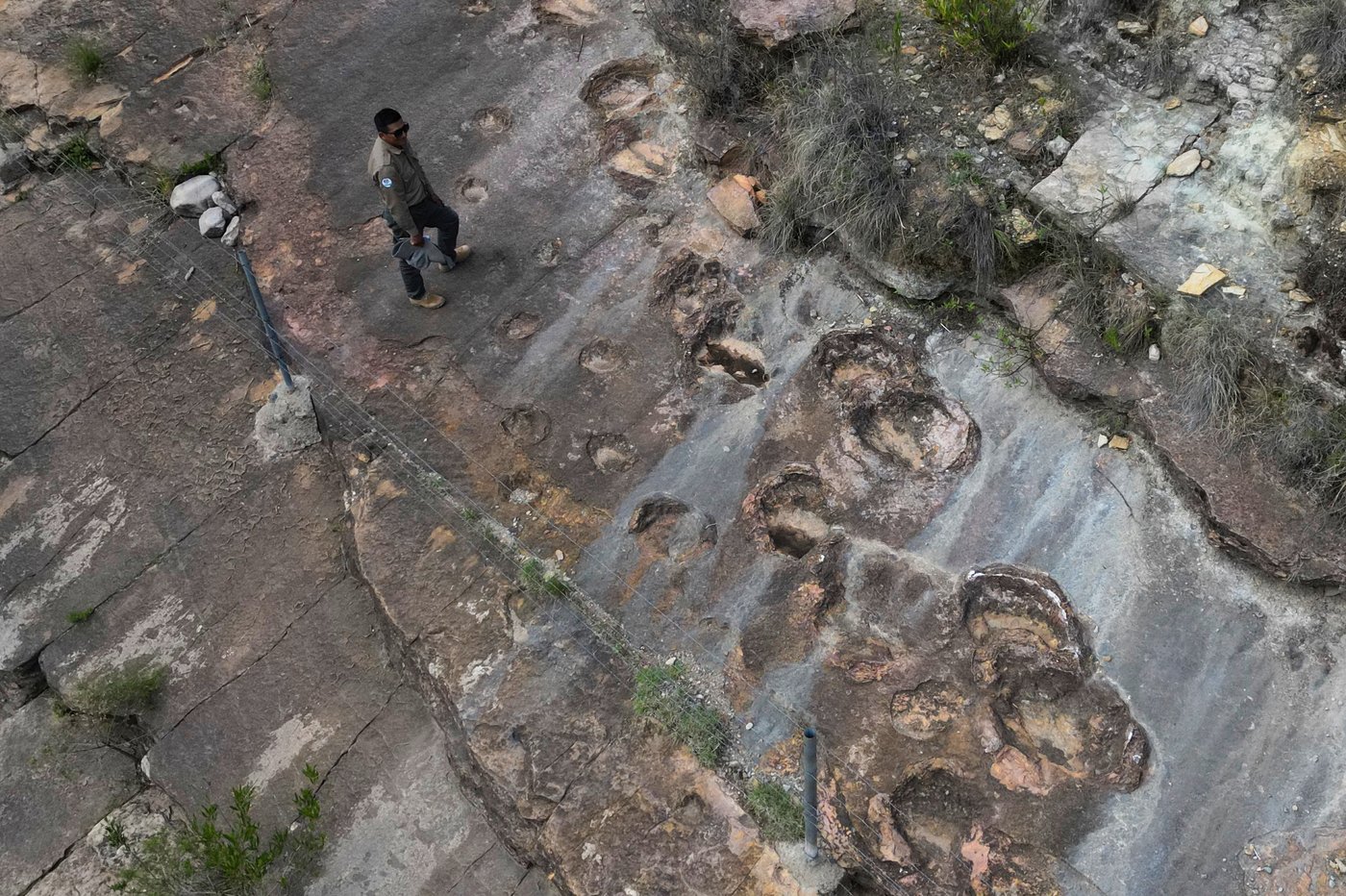 16,000 fossil footprints in central Bolivia reveal dinosaur behavior | iNFOnews.ca 16,000 fossil footprints in central Bolivia reveal dinosaur behavior | iNFOnews.ca