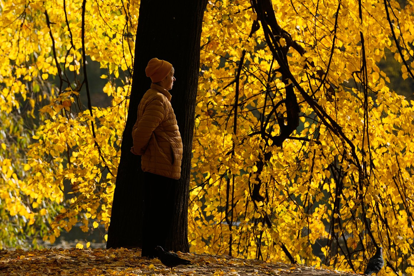 The top photos of the day by AP's photojournalists | iNFOnews.ca