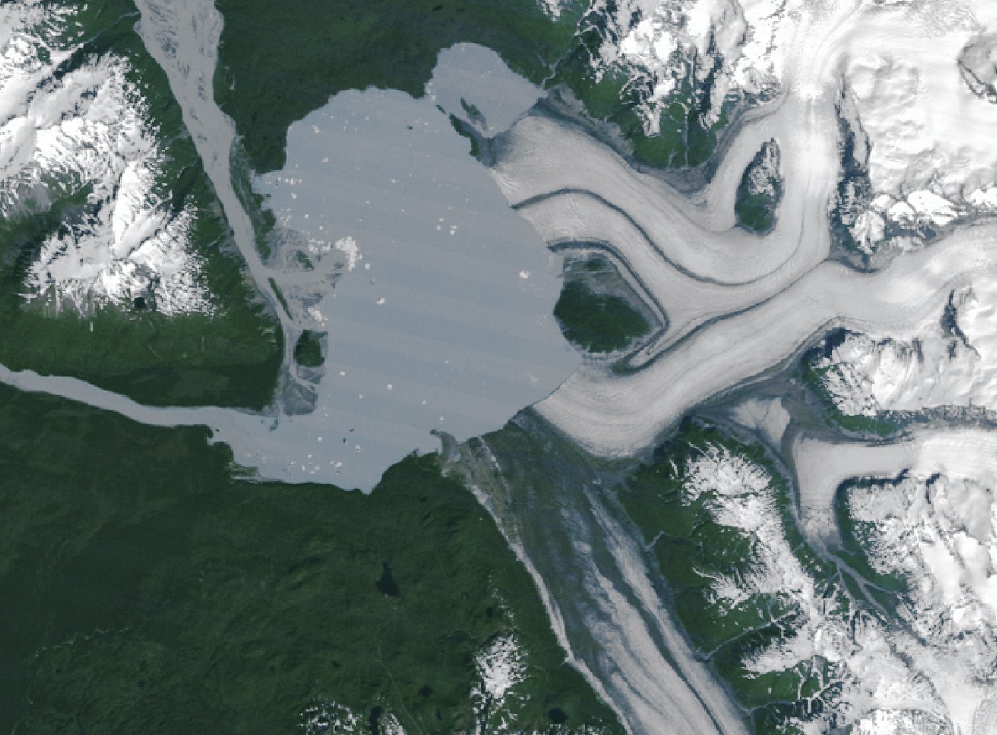 Retreating Alsek Glacier reveals new island in southeast Alaska | iNFOnews.ca