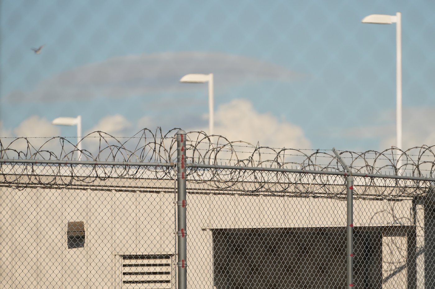Feeling hopeless in custody, many drop claims to remain in the US, leave voluntarily | iNFOnews.ca