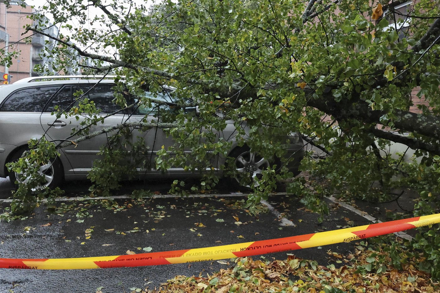 At least 1 person killed in Ireland as Storm Amy hits northern Europe with strong wind and rain | iNFOnews.ca