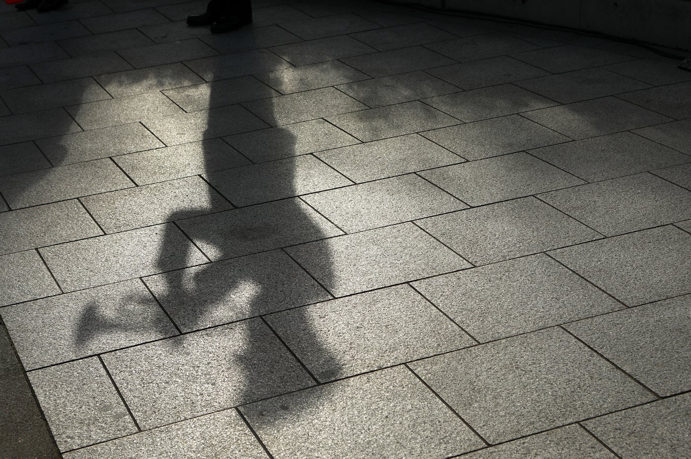 Photo Gallery: The year in photos 2025 | iNFOnews.ca