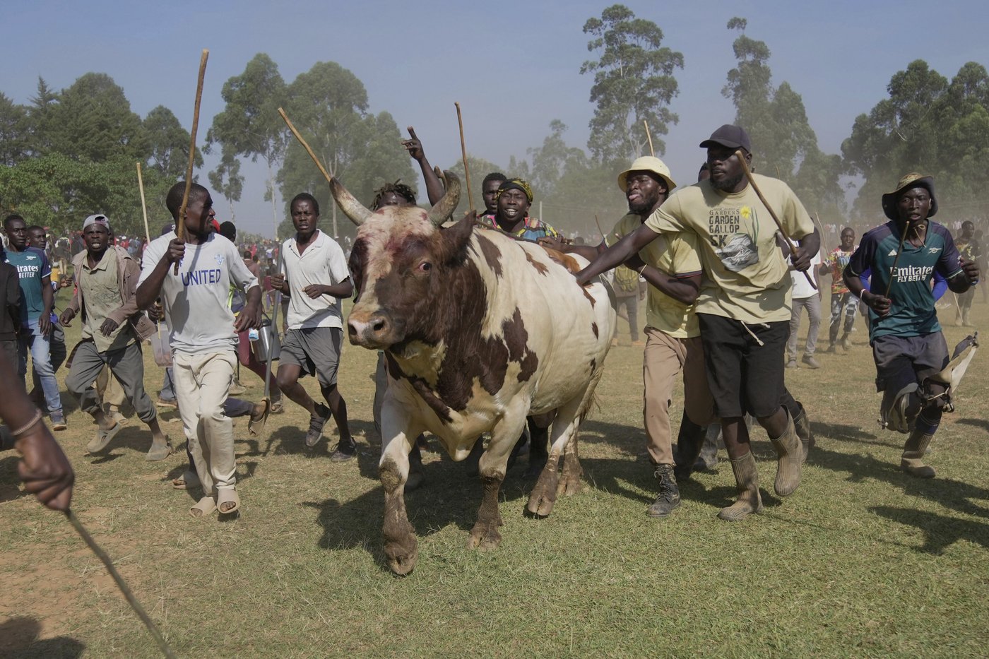 Photos show a bullfight in Kenya, where an ancient sport attracts modern-day bets | iNFOnews.ca