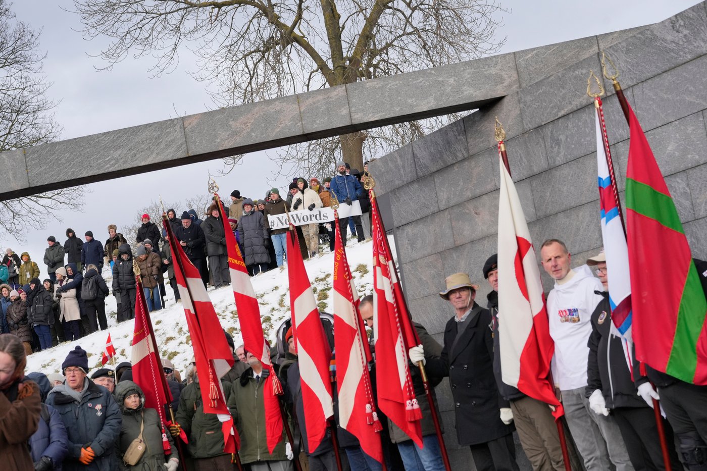 Danish veterans stage protest outside US Embassy | iNFOnews.ca