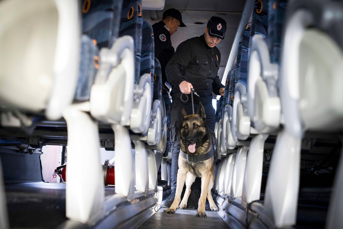 Interpol arrests more than 3,700 suspects in global trafficking crackdown | iNFOnews.ca