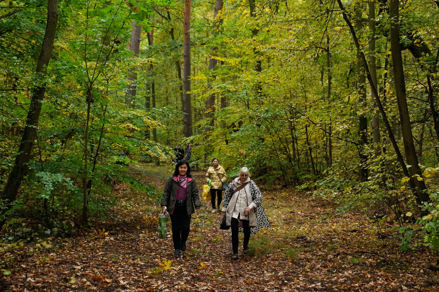 An old tradition finds new life as Germans flock to forests to collect mushrooms | iNFOnews.ca