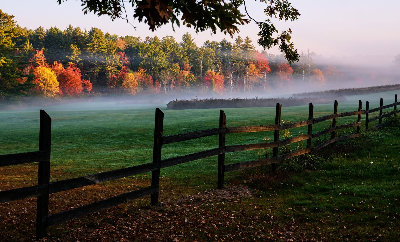 Drought has muted this year's leaf-peeping season | iNFOnews.ca Drought has muted this year's leaf-peeping season | iNFOnews.ca