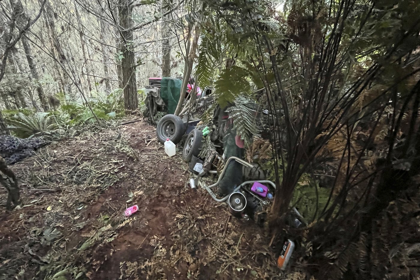 New Zealand police investigate how a man hid his 3 children in a forest for years without discovery | iNFOnews.ca New Zealand police investigate how a man hid his 3 children in a forest for years without discovery | iNFOnews.ca