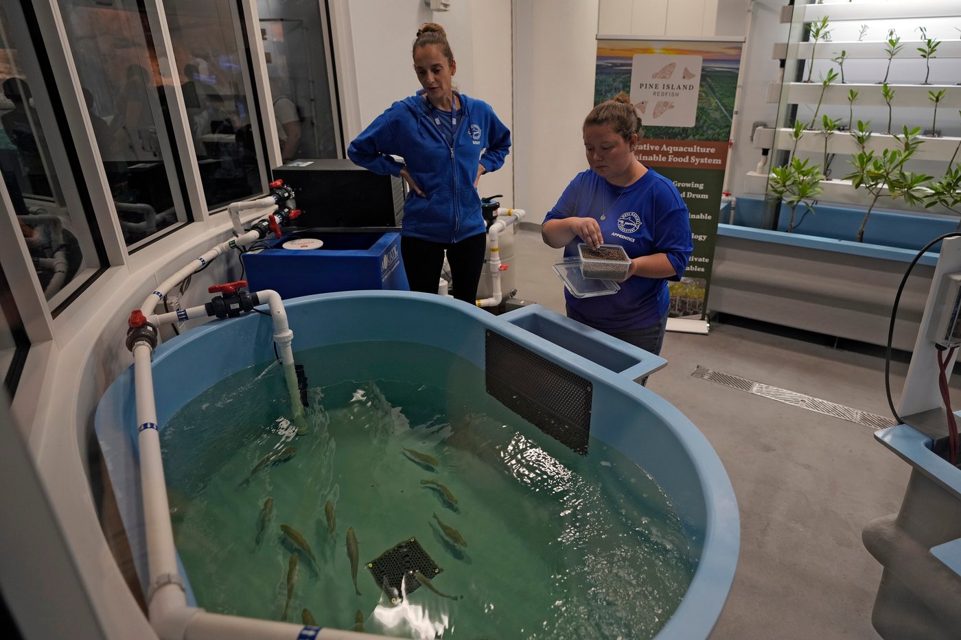Florida's Mote Marine Laboratory relocates hundreds of marine animals to new $130M facility | iNFOnews.ca