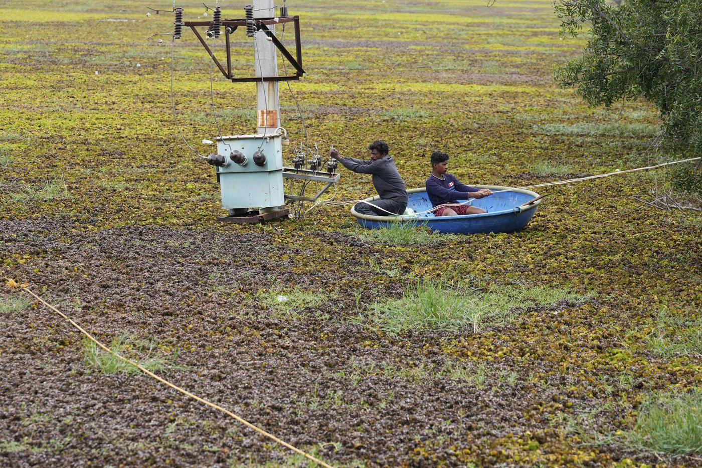 As climate risks grow, India's Bengaluru is trying to save its vanishing lakes | iNFOnews.ca As climate risks grow, India's Bengaluru is trying to save its vanishing lakes | iNFOnews.ca