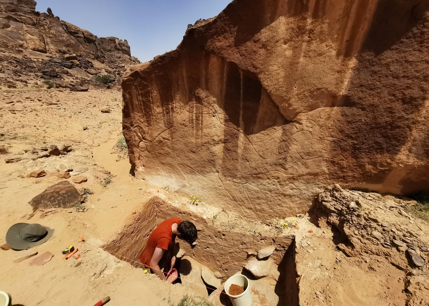 Scientists find ancient life-size animal rock carvings in the Saudi Arabian desert | iNFOnews.ca