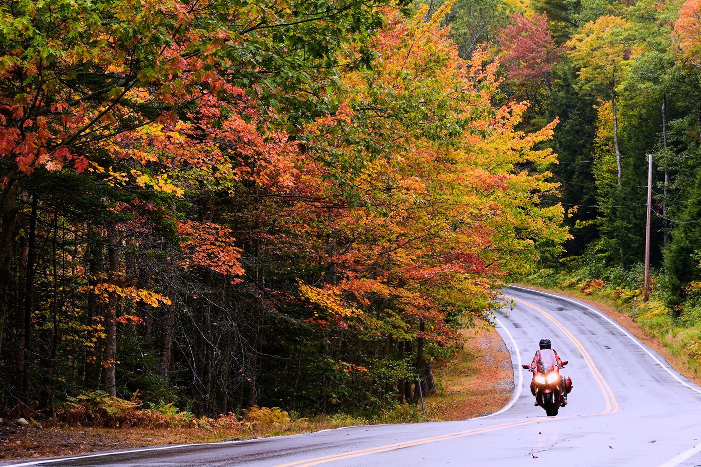 Drought has muted this year's leaf-peeping season | iNFOnews.ca Drought has muted this year's leaf-peeping season | iNFOnews.ca