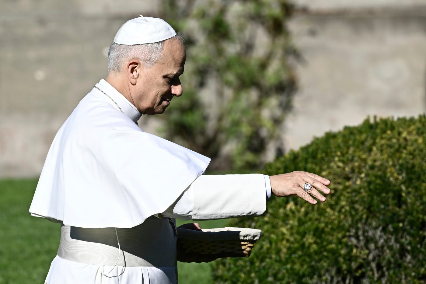 Pope feeds fish as he opens Vatican's ambitious model of sustainable farming and education | iNFOnews.ca Pope feeds fish as he opens Vatican's ambitious model of sustainable farming and education | iNFOnews.ca