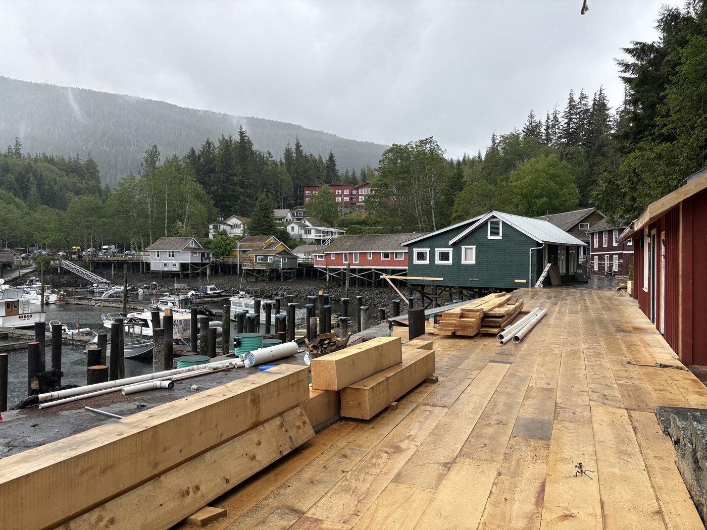 Northern lights inspire recovery in Telegraph Cove, B.C., year after devastating fire | iNFOnews.ca