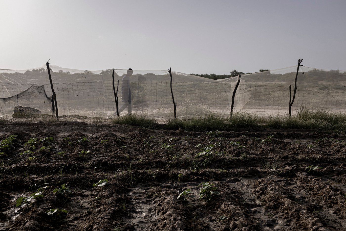 In Senegal, climate change is adding to historic tension between farmers and herders | iNFOnews.ca