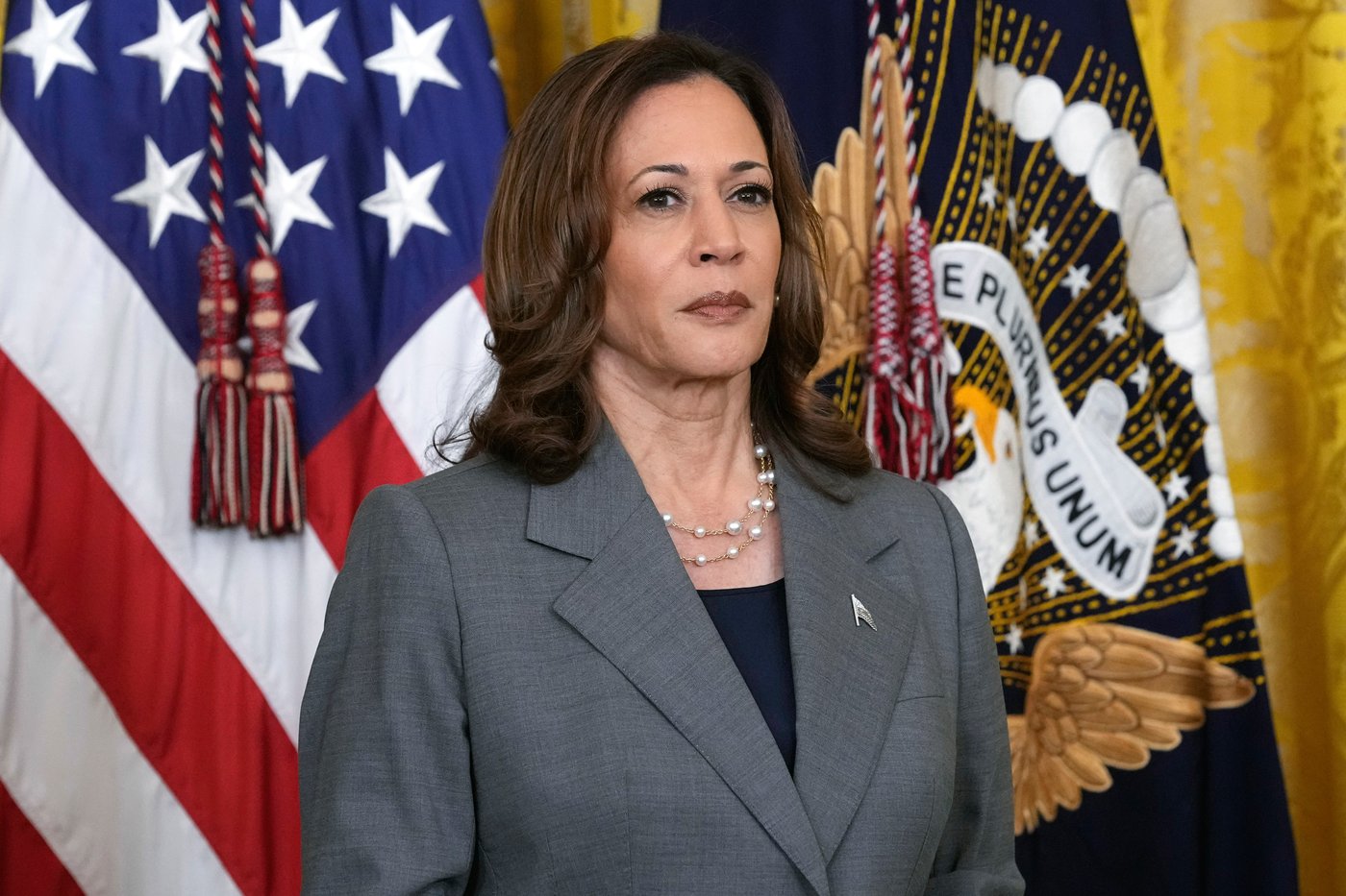 Harris says leaving reelection decision to Biden was 'recklessness,' but she defends his abilities | iNFOnews.ca