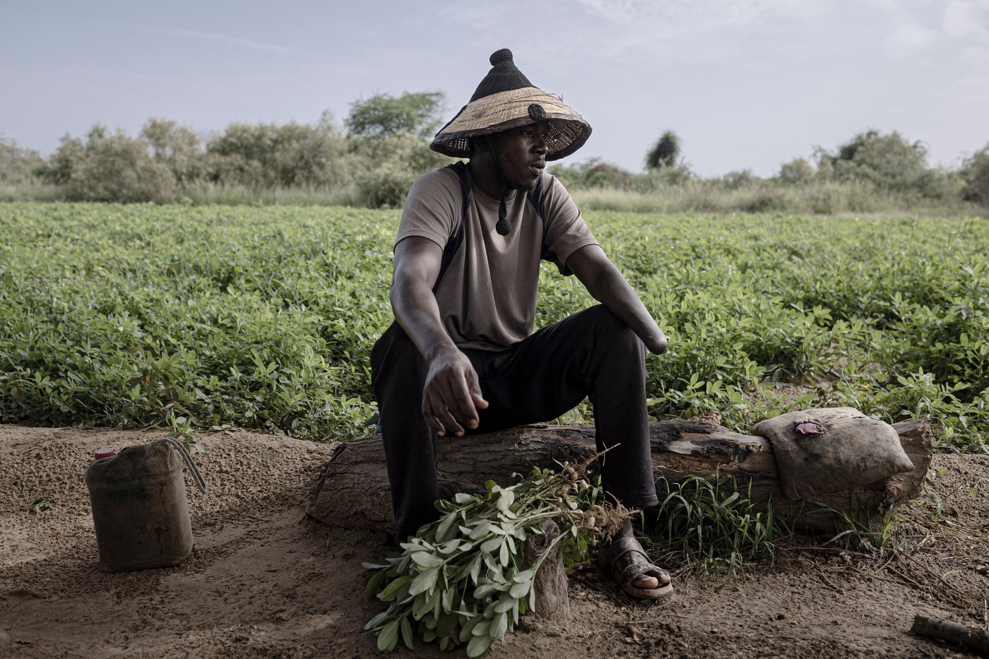 In Senegal, climate change is adding to historic tension between farmers and herders | iNFOnews.ca