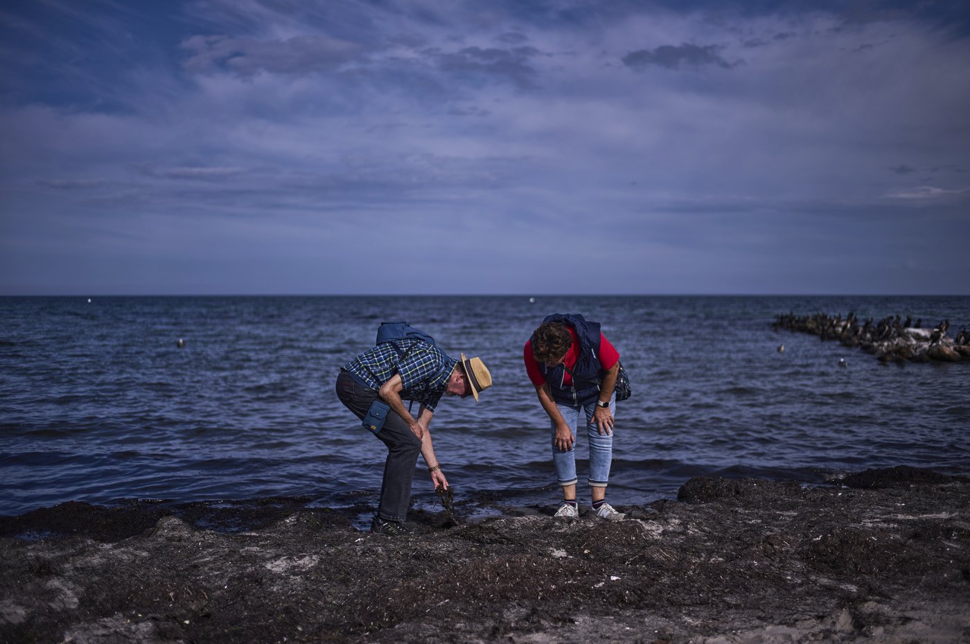 Finding happiness in amber: On Germany's Baltic coast, people go hunting for the precious pieces | iNFOnews.ca Finding happiness in amber: On Germany's Baltic coast, people go hunting for the precious pieces | iNFOnews.ca