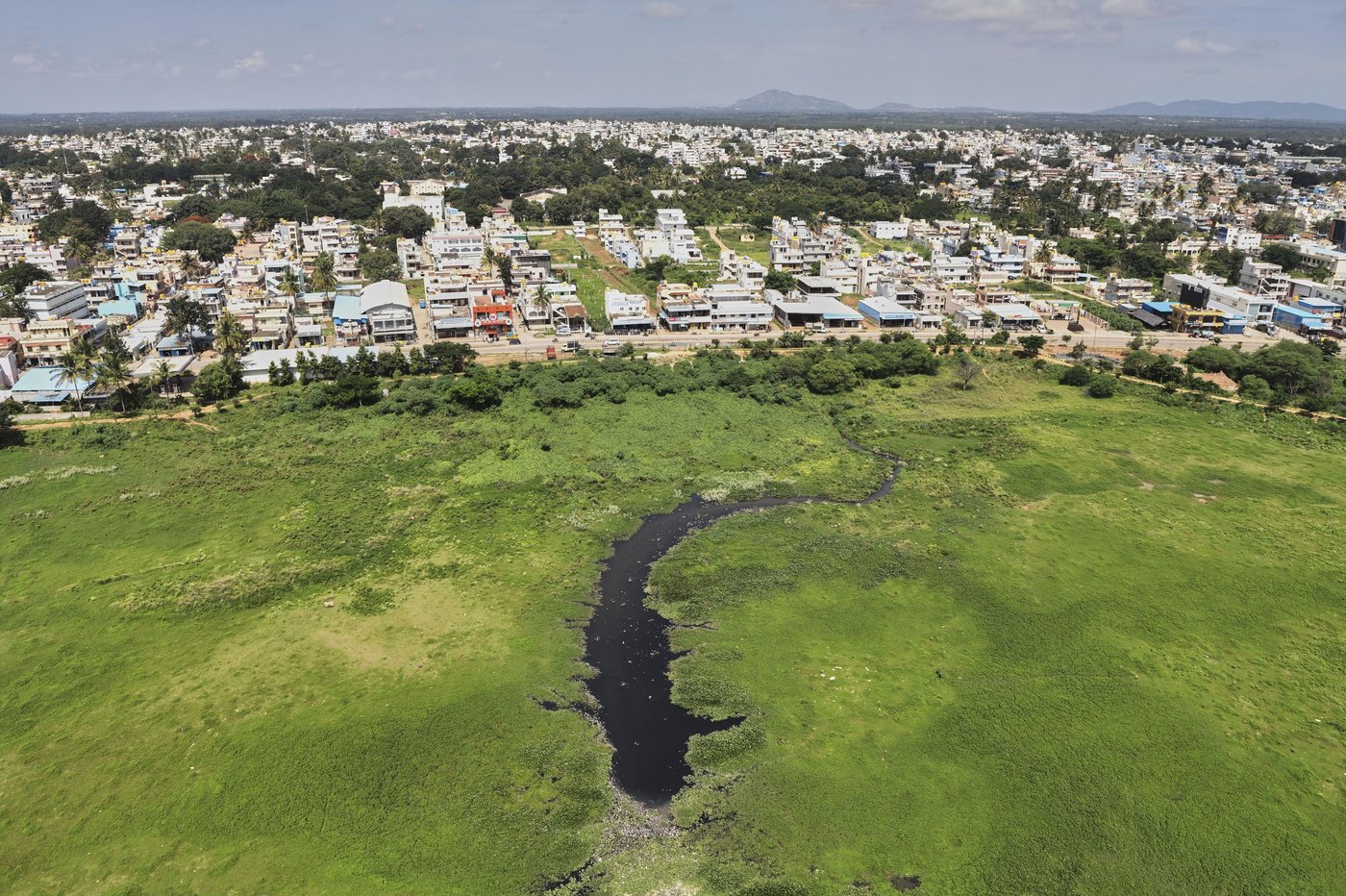 As climate risks grow, India's Bengaluru is trying to save its vanishing lakes | iNFOnews.ca As climate risks grow, India's Bengaluru is trying to save its vanishing lakes | iNFOnews.ca