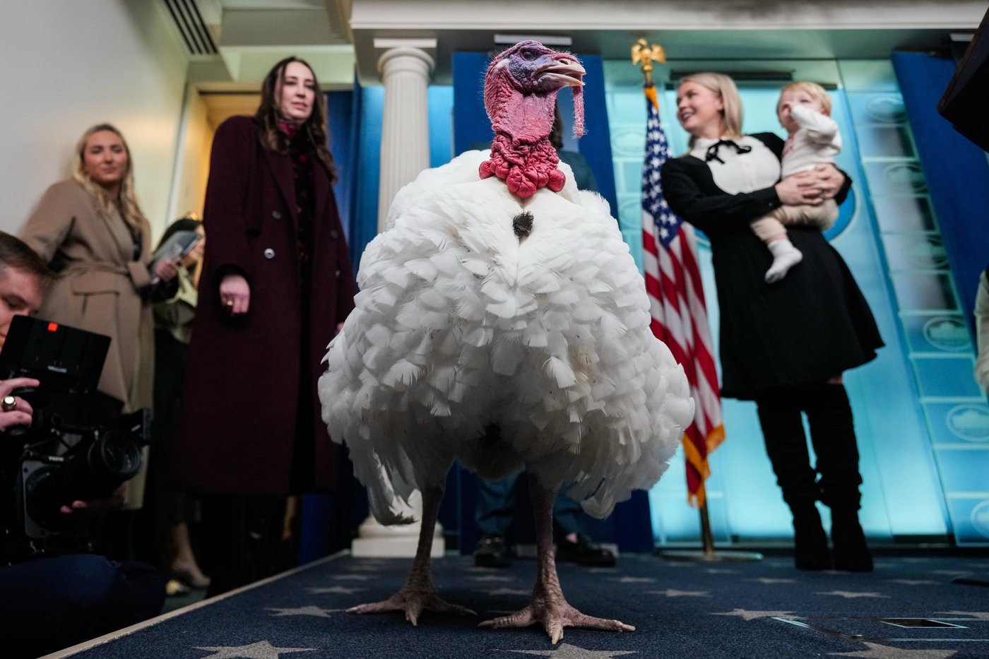 The Latest: Trump’s Thanksgiving turkey pardon arrives during precarious political moment | iNFOnews.ca The Latest: Trump’s Thanksgiving turkey pardon arrives during precarious political moment | iNFOnews.ca