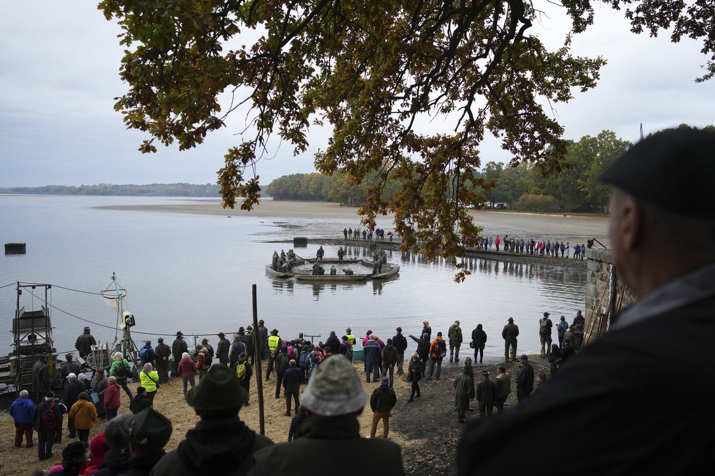 Photos show Czech fisherman hauling in Christmas carp for holiday tables | iNFOnews.ca