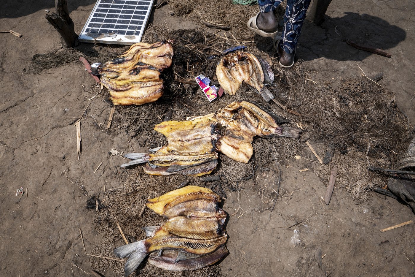 South Sudanese community fights to save land from relentless flooding worsened by climate change | iNFOnews.ca South Sudanese community fights to save land from relentless flooding worsened by climate change | iNFOnews.ca
