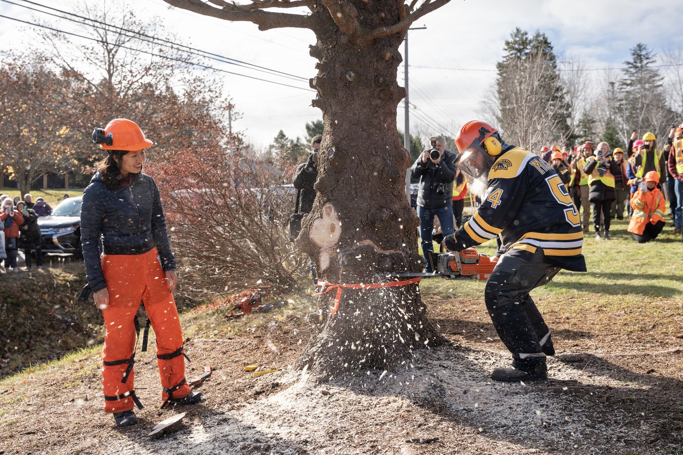 Photo Gallery: Annual N.S. Christmas tree gift en route to Boston | iNFOnews.ca